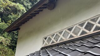 普段人通りが少ない場所に蜂の巣