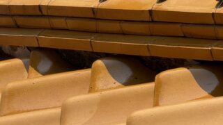 【笠岡市｜郵便局の屋根にアシナガバチの巣を発見！素早く対応しました】