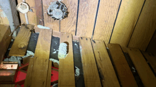 笠岡市有田で屋根裏のスズメバチ駆除｜ハチ職人あんばい