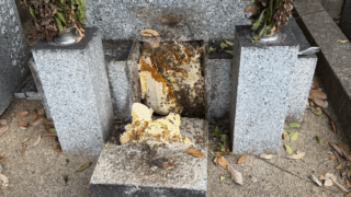 小田郡矢掛町にてお墓のミツバチ駆除(35,200円)※立ち会いなし作業